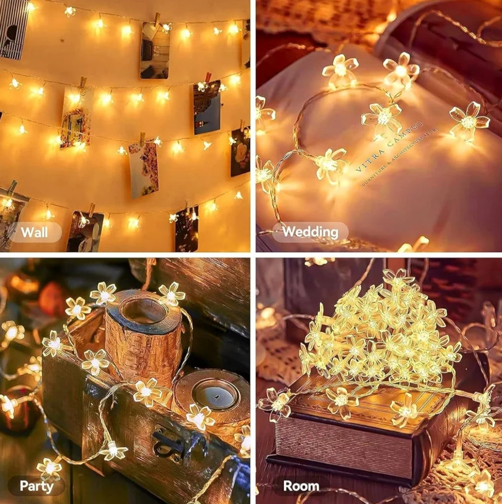 Lexo lights